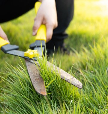 Gras schneiden