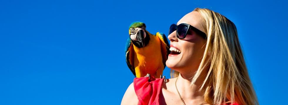 Frau mit Papageien