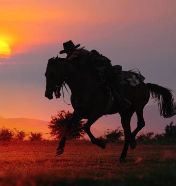 Cowboy reitet im Galopp