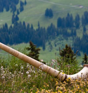 Alphhorn auf einer Wiese in den Alpen