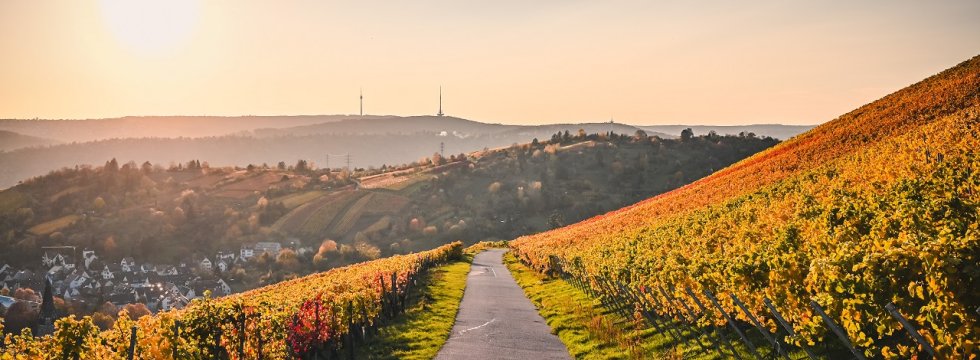 Weinberge um Stuttgart