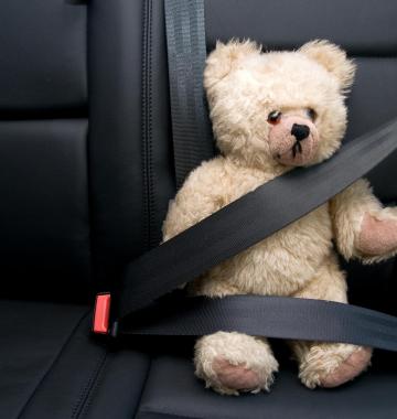 Teddybär sitzt angeschnallt im Auto