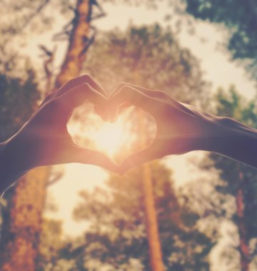 Zwei Hände zeigen ein Herz vor einer Sonne im Wald