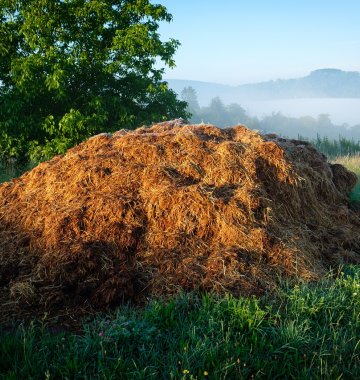 Ein großer Haufen Heu oder Stroh liegt auf dem Gras eines ländlichen Feldes mit Bäumen und nebligen Hügeln im Hintergrund.