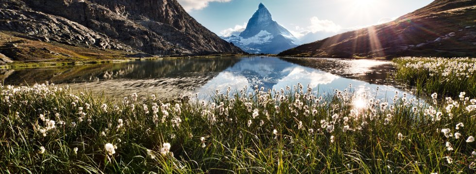 Wiese in den Alpen