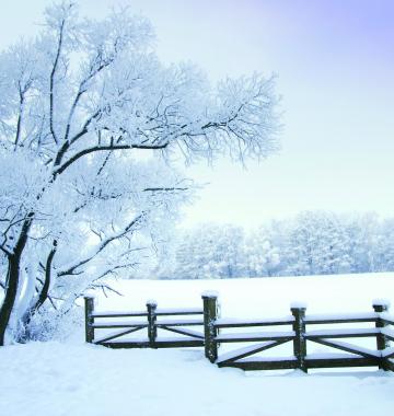 verschneite Landschaft mit einem Zaun