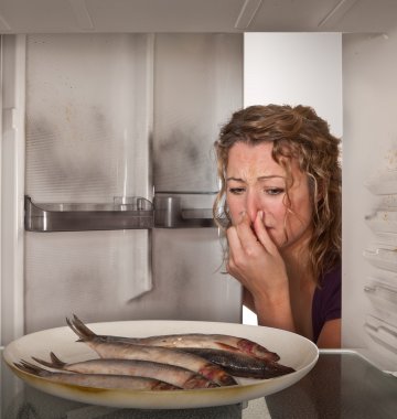 Frau, welcher der stinkende Fisch im Kühlschrank auffällt