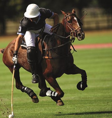 Polospieler