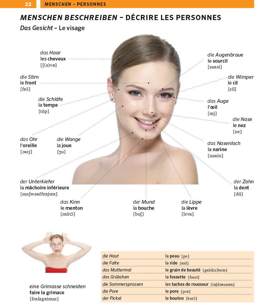 PONS Bildwörterbuch Französisch