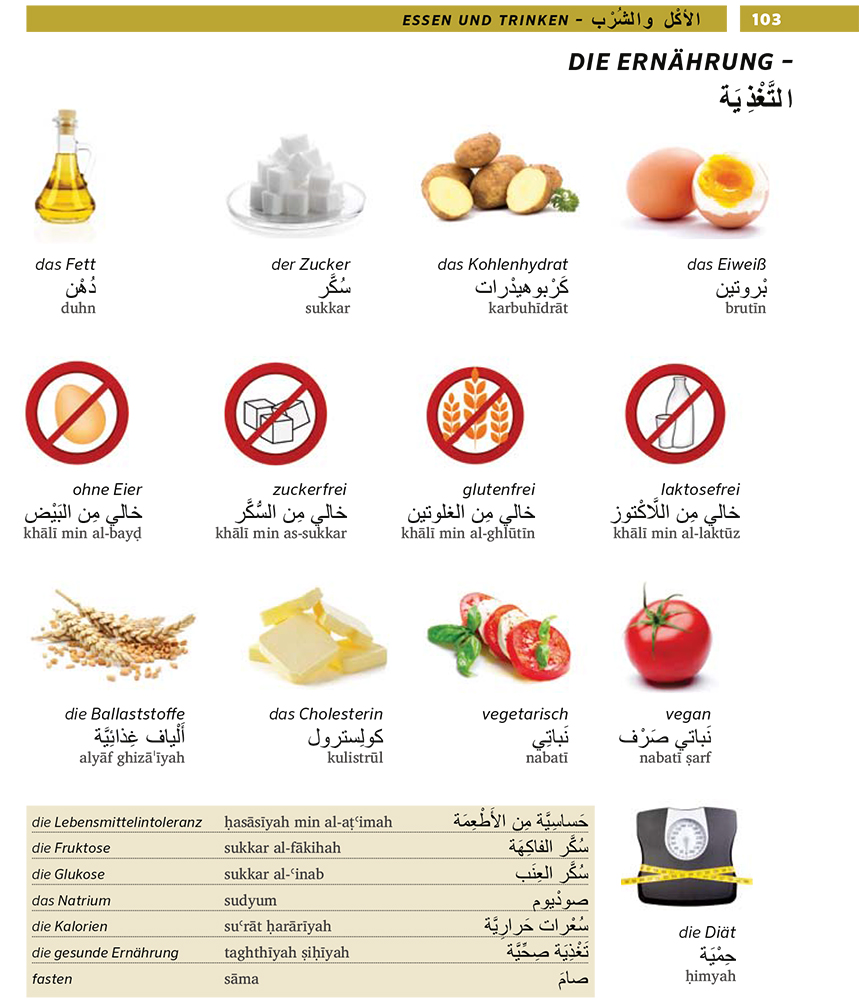 PONS Bildwörterbuch Arabisch