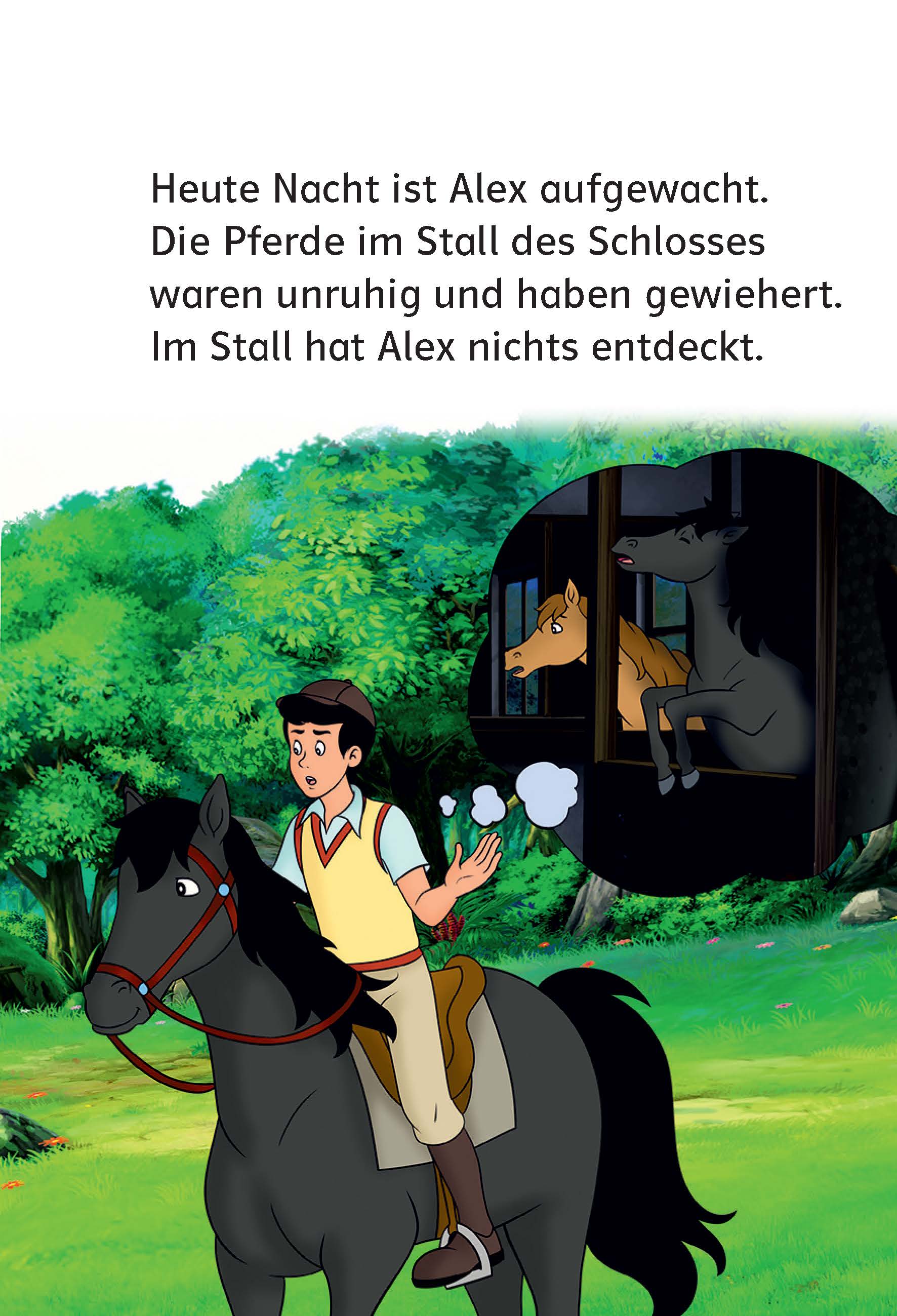 Bibi & Tina: Diebe in der Schatzkammer