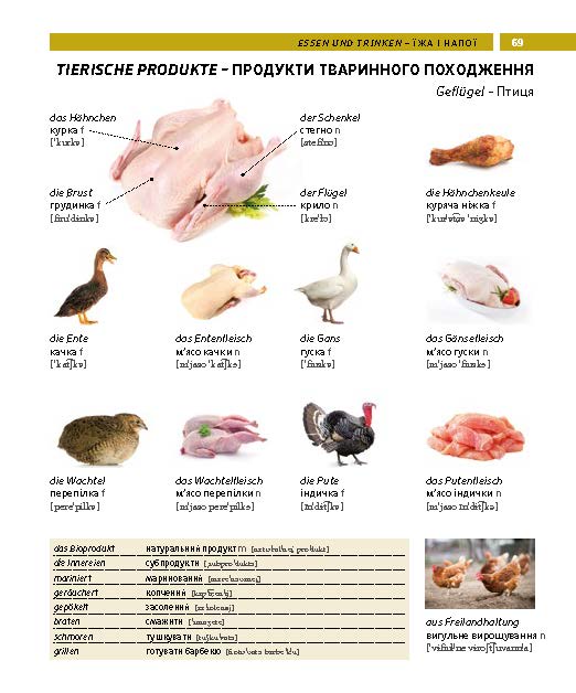 PONS Bildwörterbuch Ukrainisch