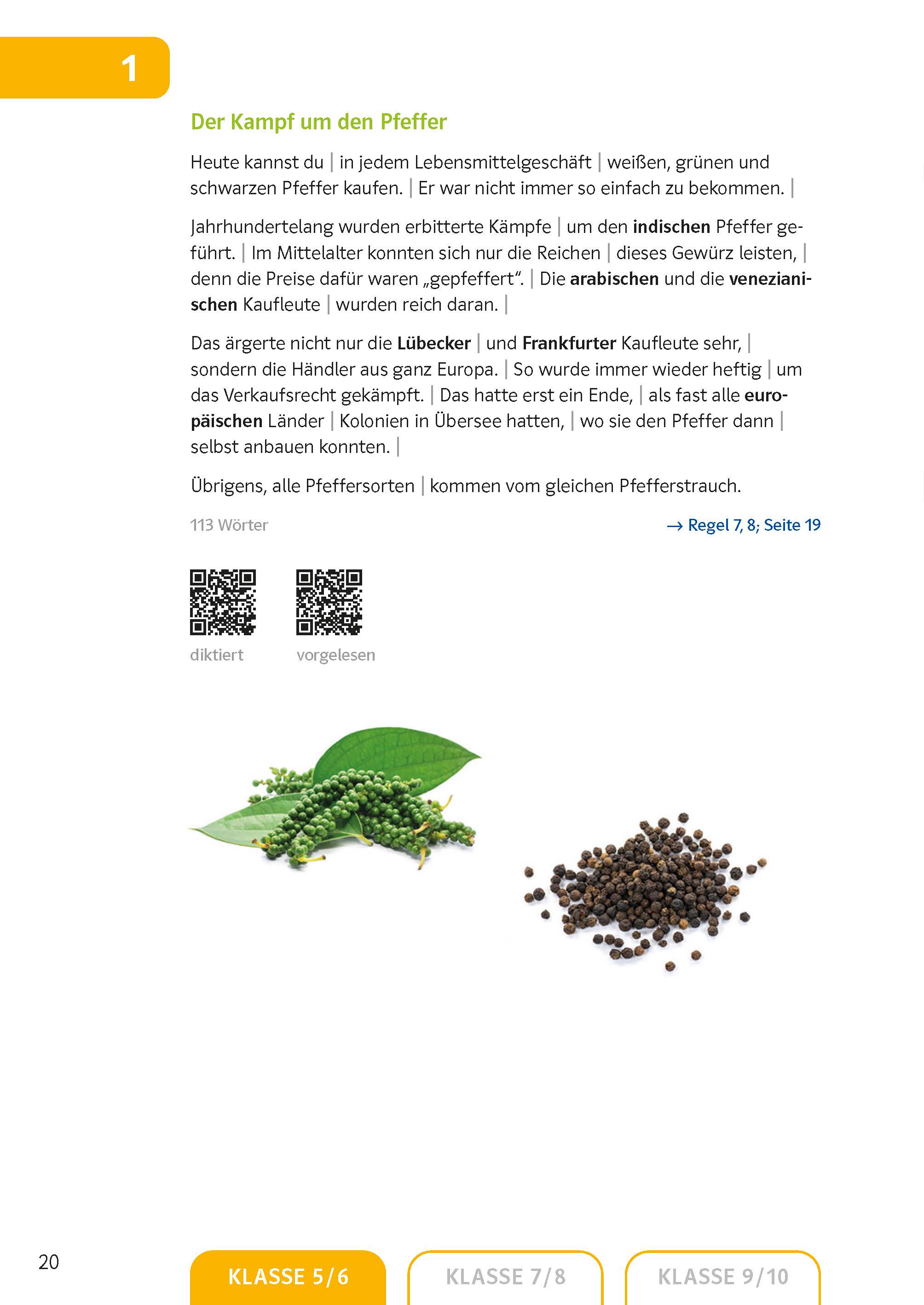 Klett Sicher in Deutsch Diktate 5.-10. Klasse