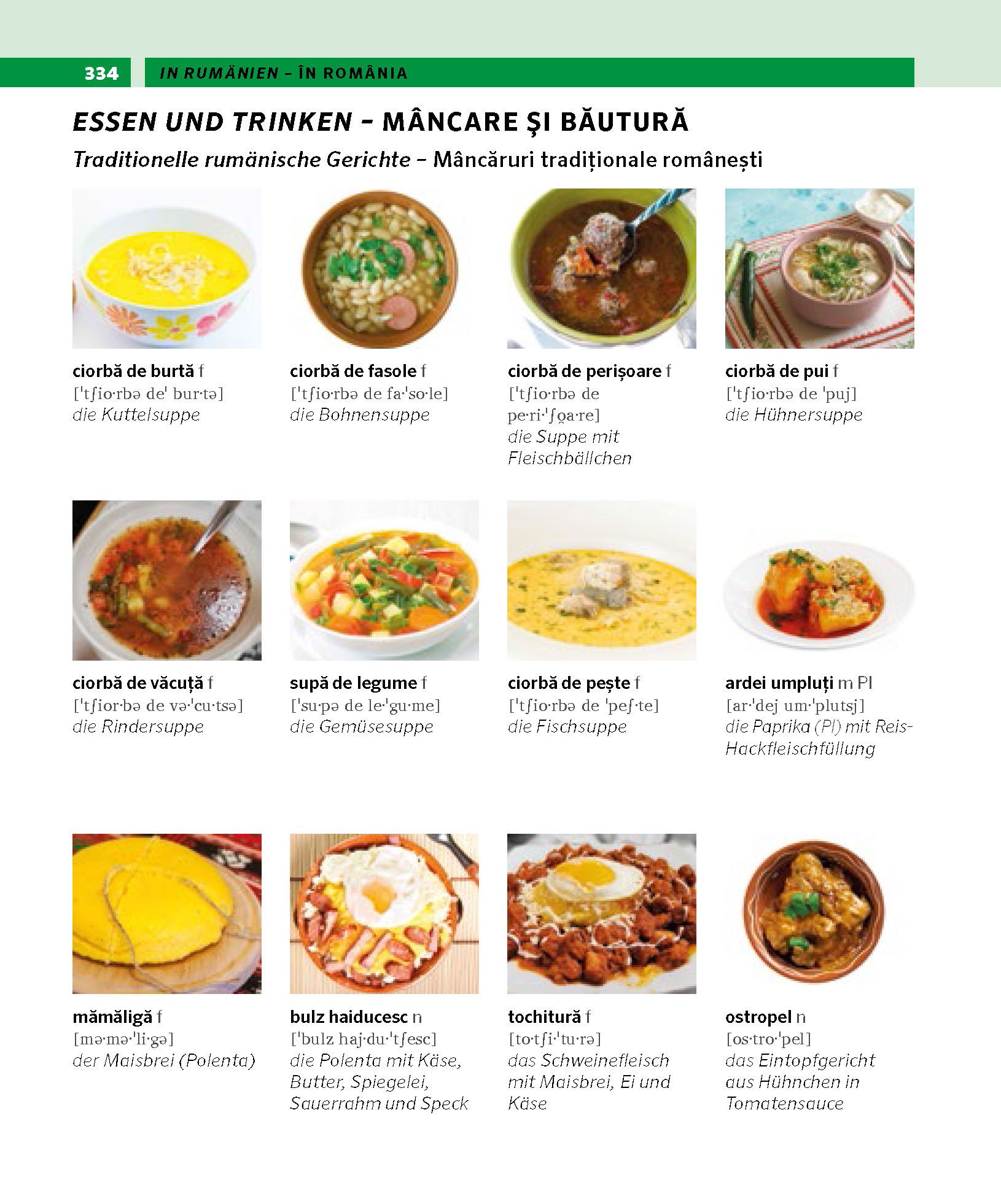 PONS Bildwörterbuch Rumänisch