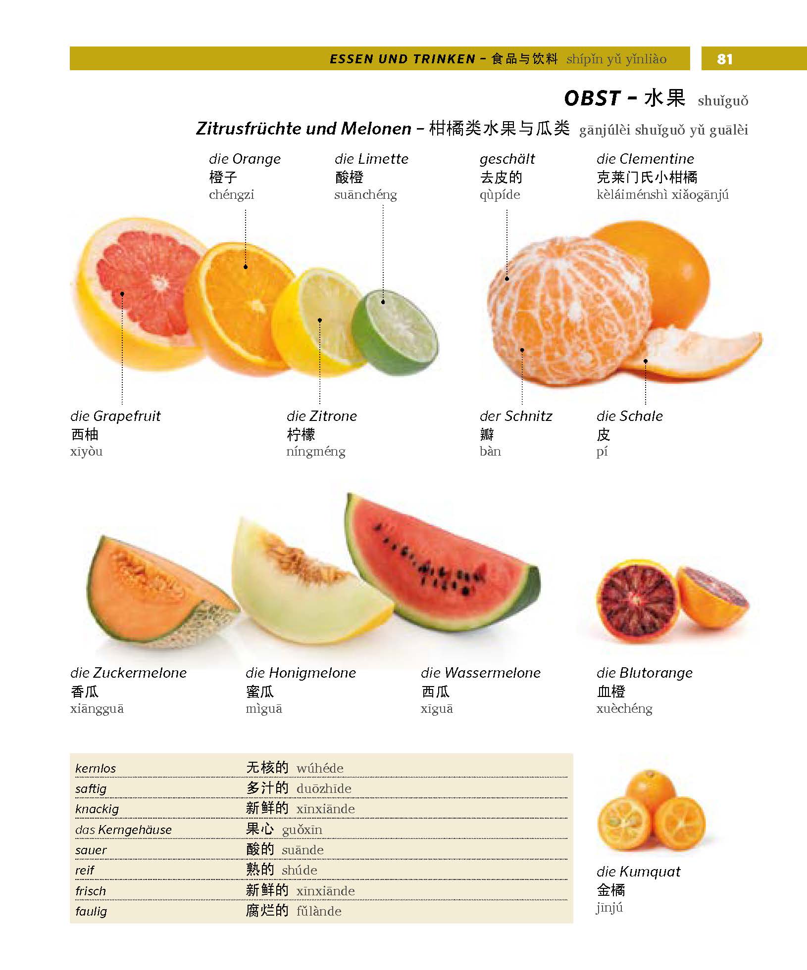 PONS Bildwörterbuch Chinesisch