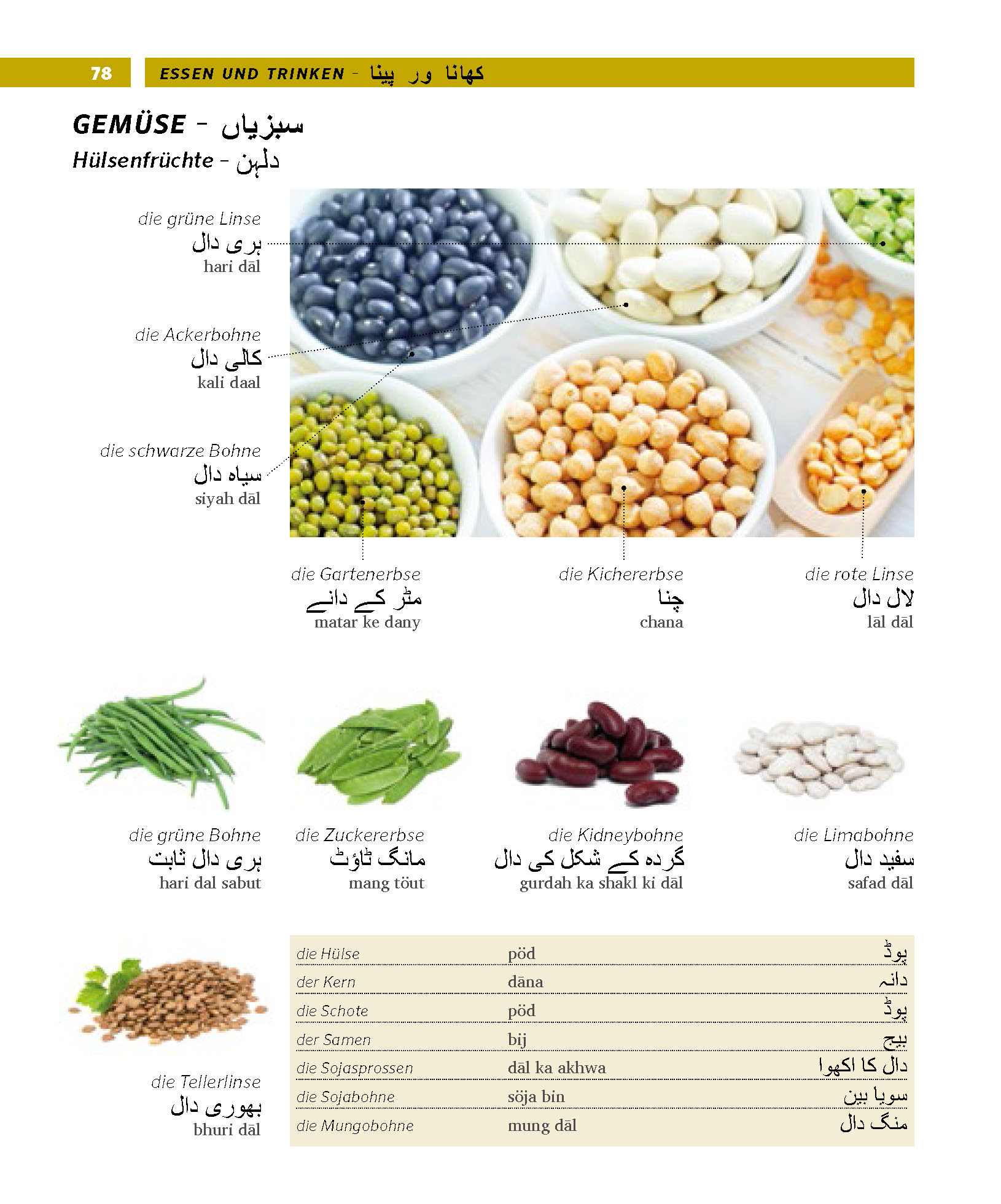 PONS Bildwörterbuch Urdu