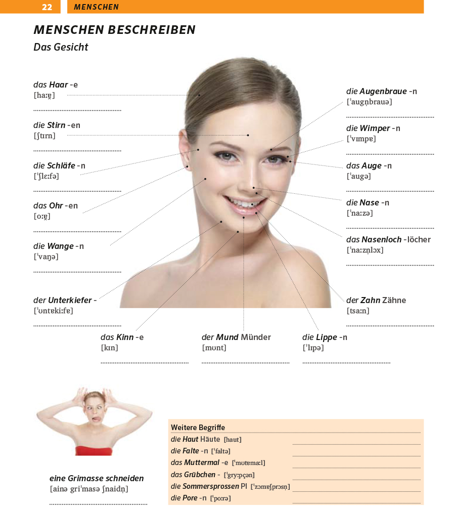 PONS Bildwörterbuch Deutsch als Fremdsprache