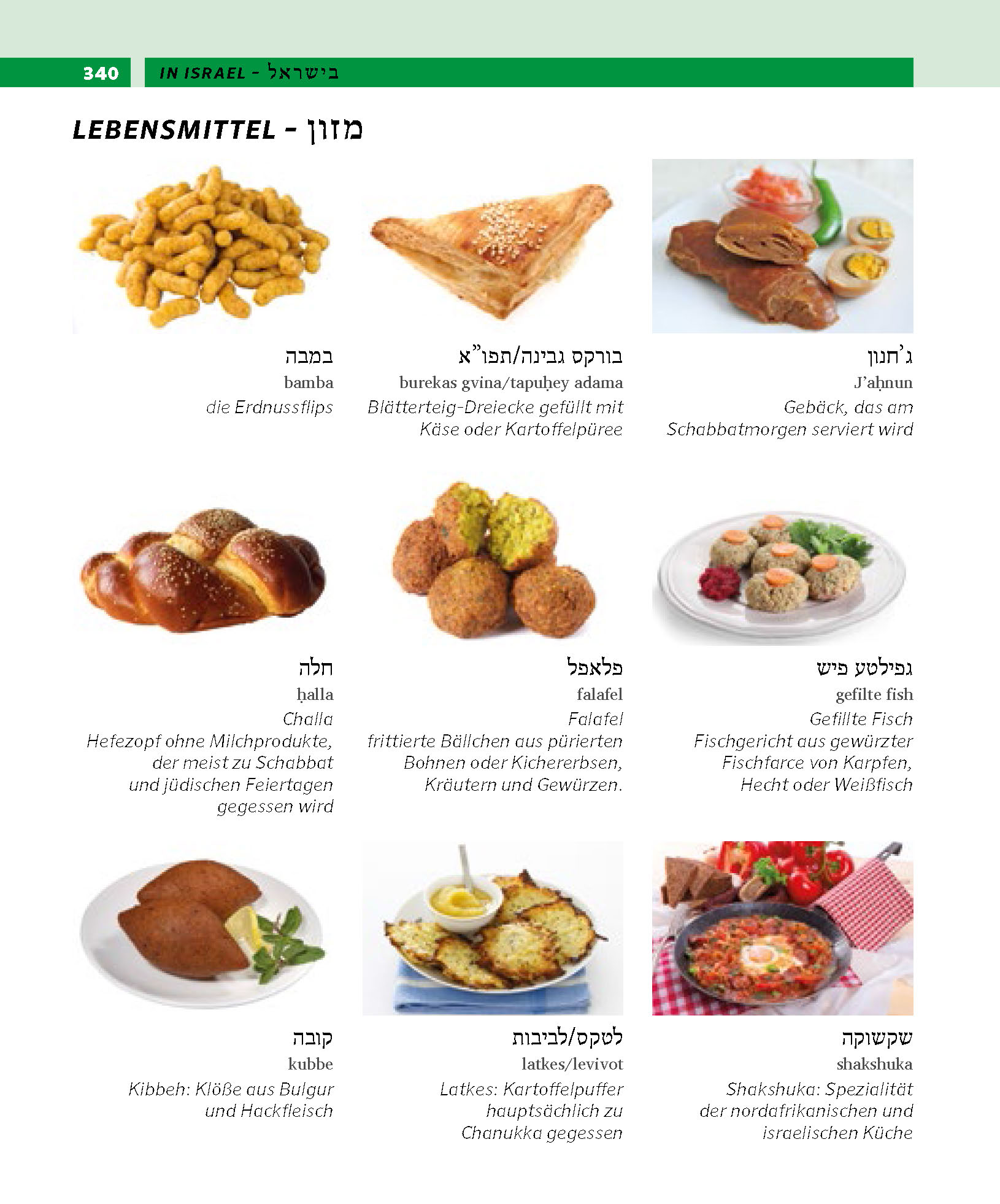 PONS Bildwörterbuch Hebräisch