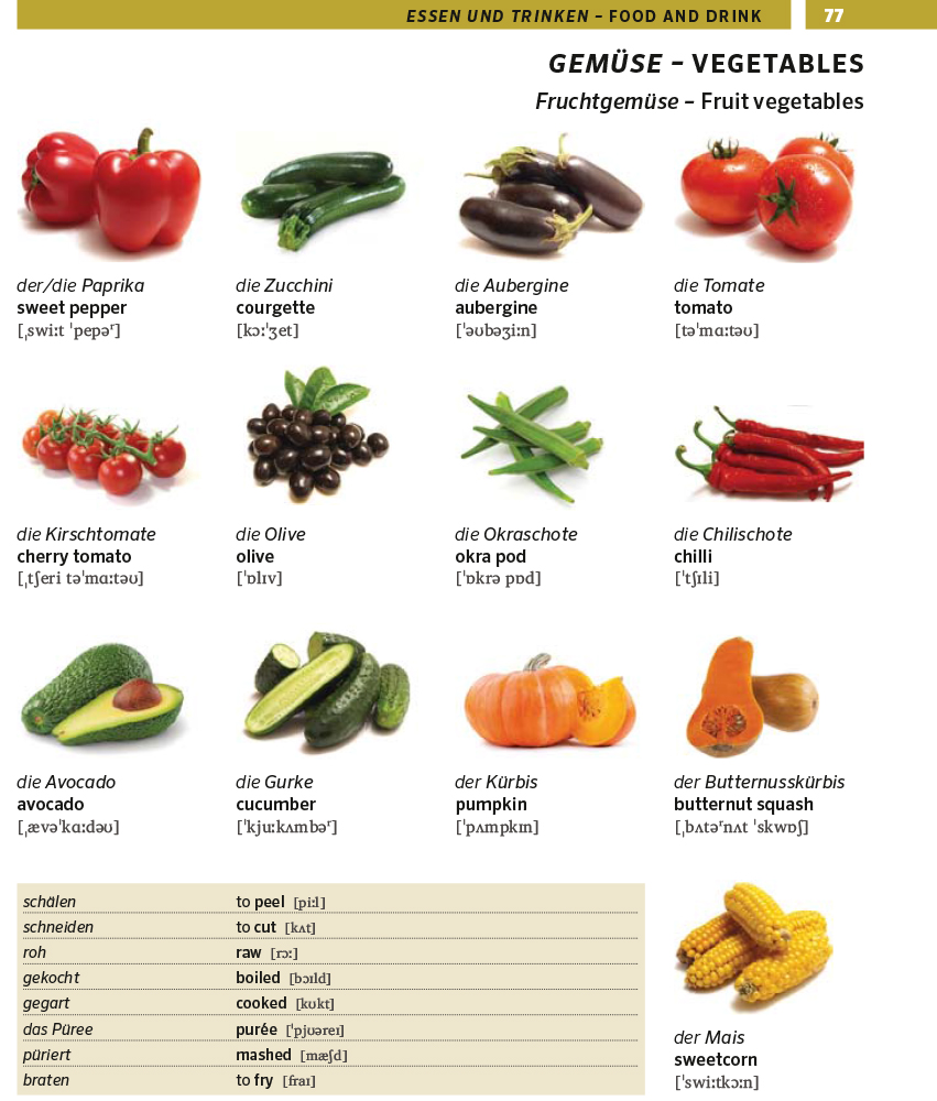 PONS Bildwörterbuch Englisch