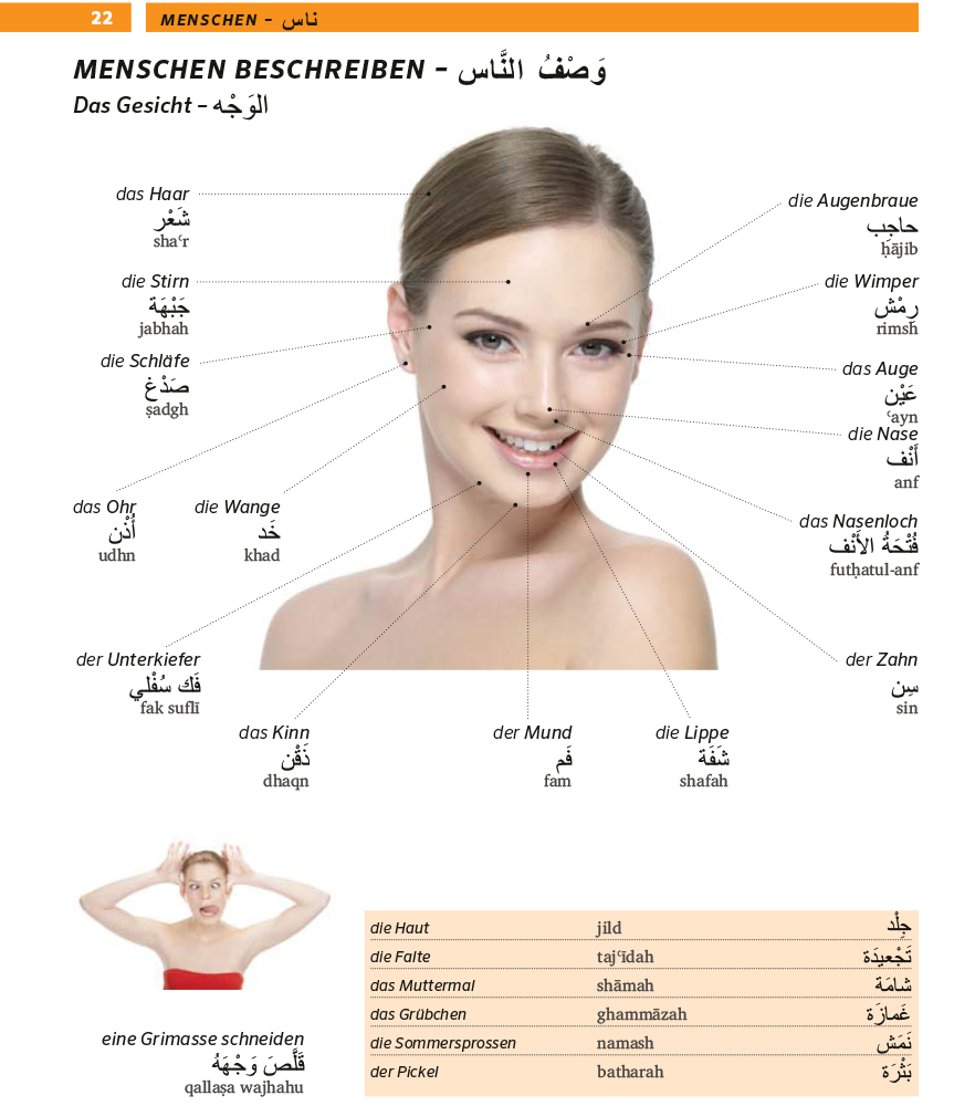 PONS Bildwörterbuch Arabisch