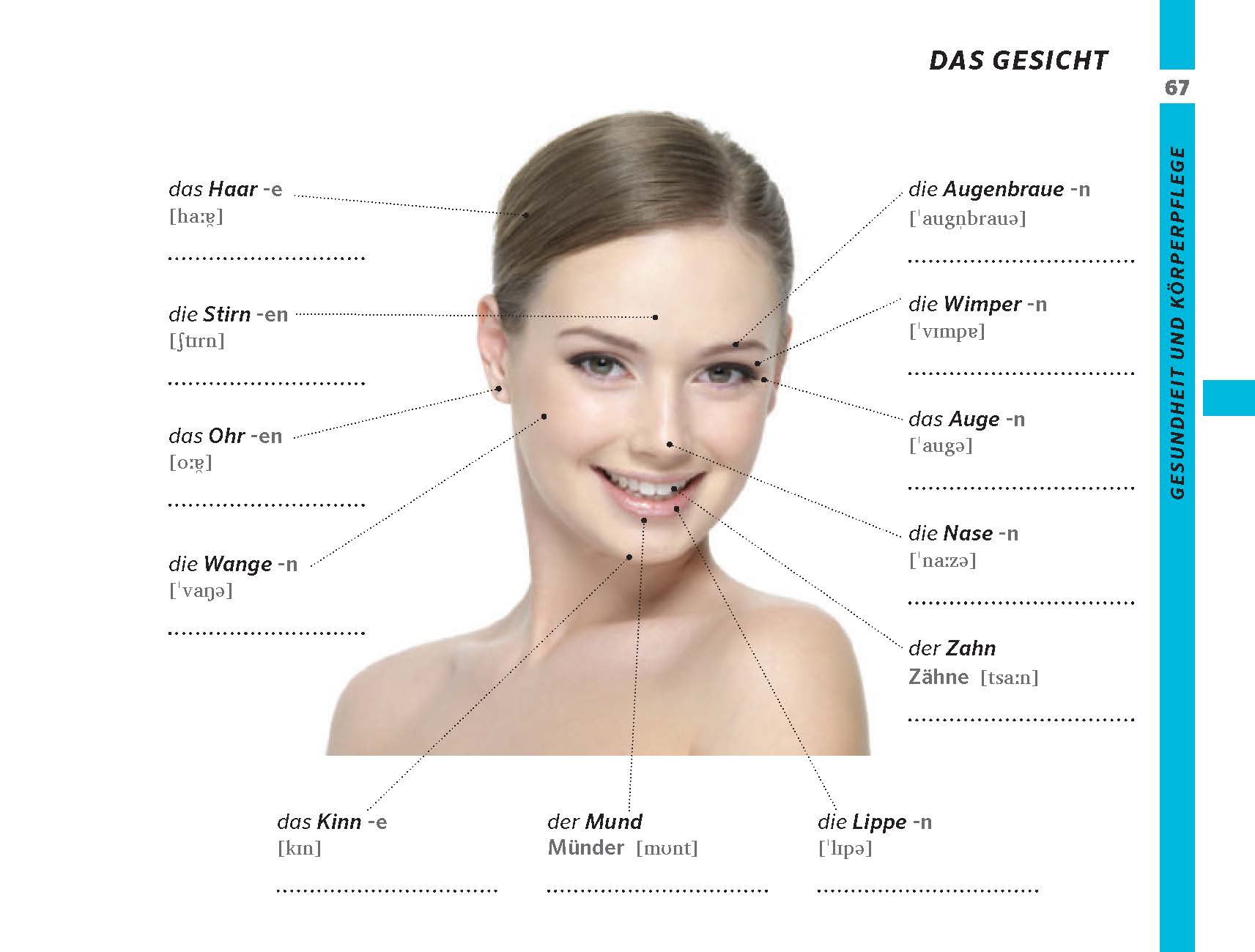 Das Gesicht einer Frau mit deutschen Beschriftungen für Haare, Stirn, Ohren, Wangen, Kinn, Mund, Lippen, Zähne, Nase, Augen, Augenbrauen und Wimpern.