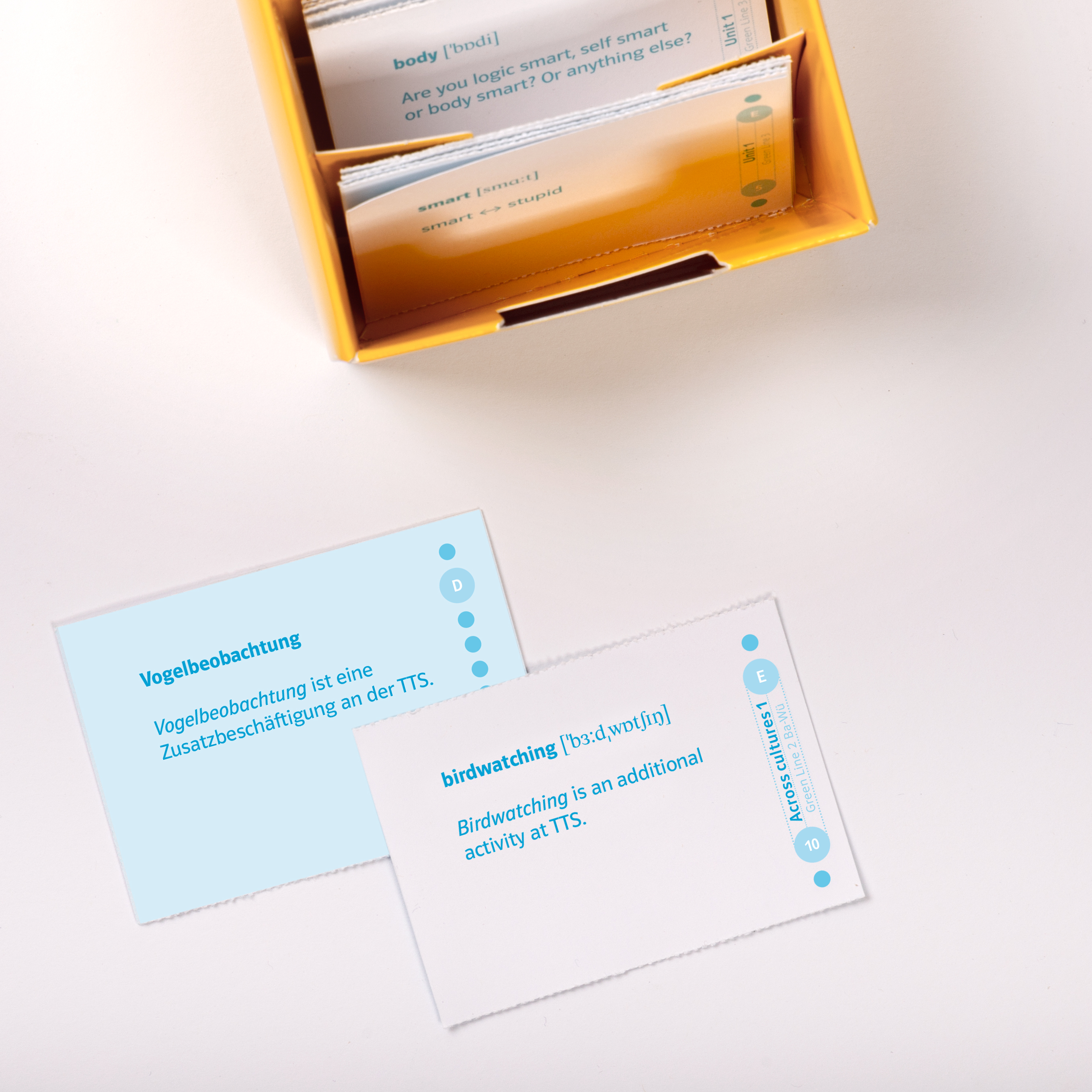 Green Line 2 Baden-Württemberg Klasse 6 Vokabel-Lernbox zum Schulbuch