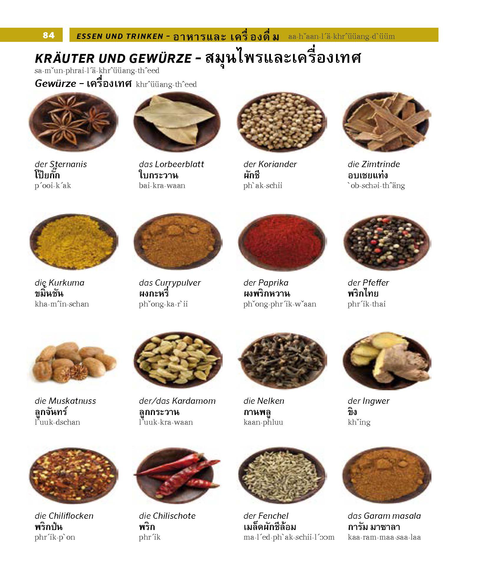 PONS Bildwörterbuch Thai