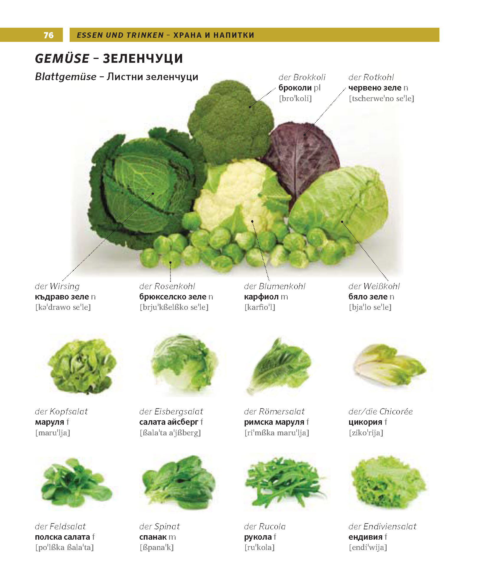 PONS Bildwörterbuch Bulgarisch