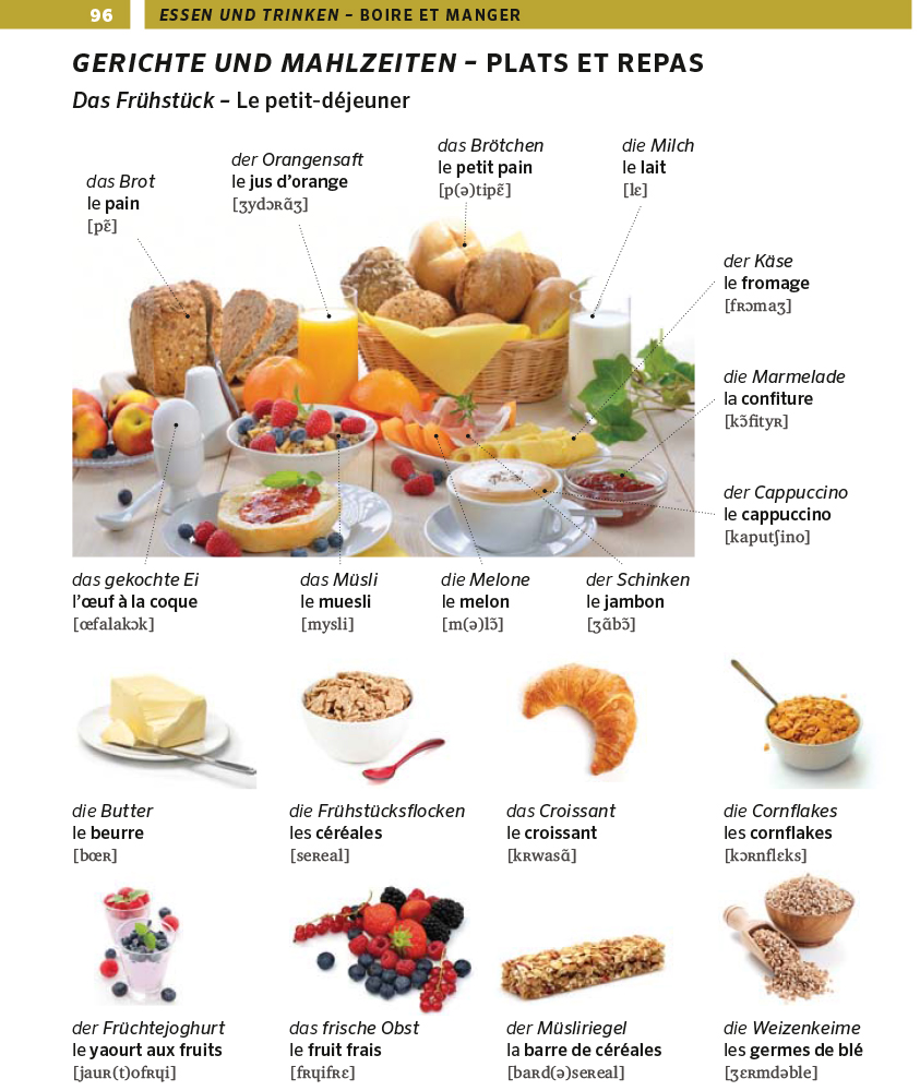 PONS Bildwörterbuch Französisch