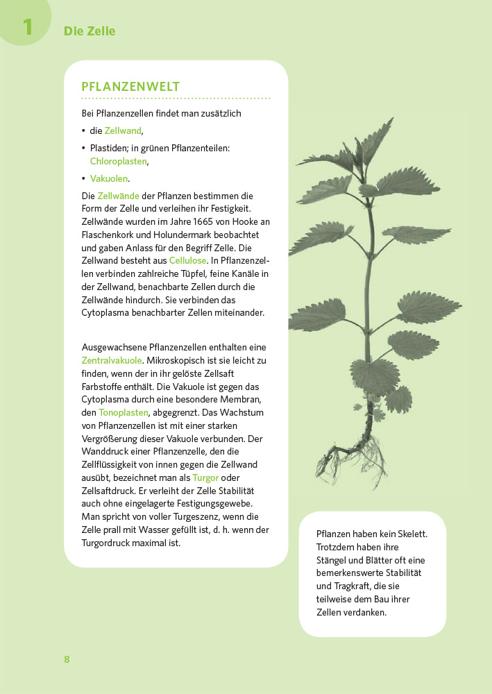 PONS Der große Abi-Check Biologie