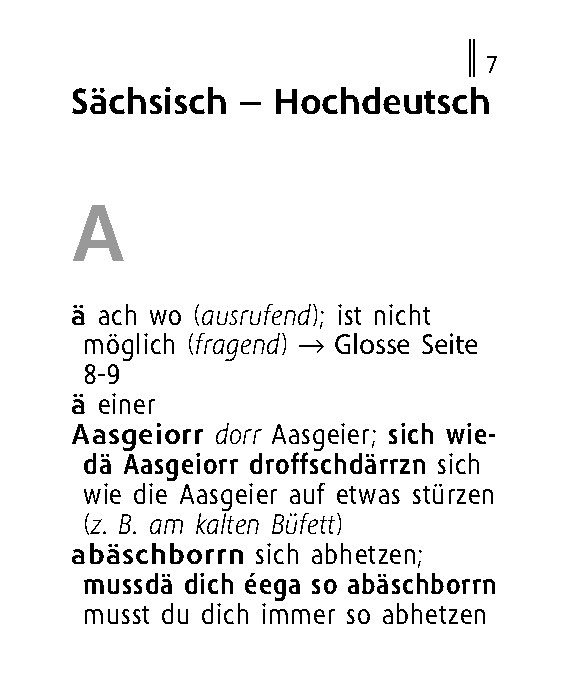 Langenscheidt Lilliput Sächsisch