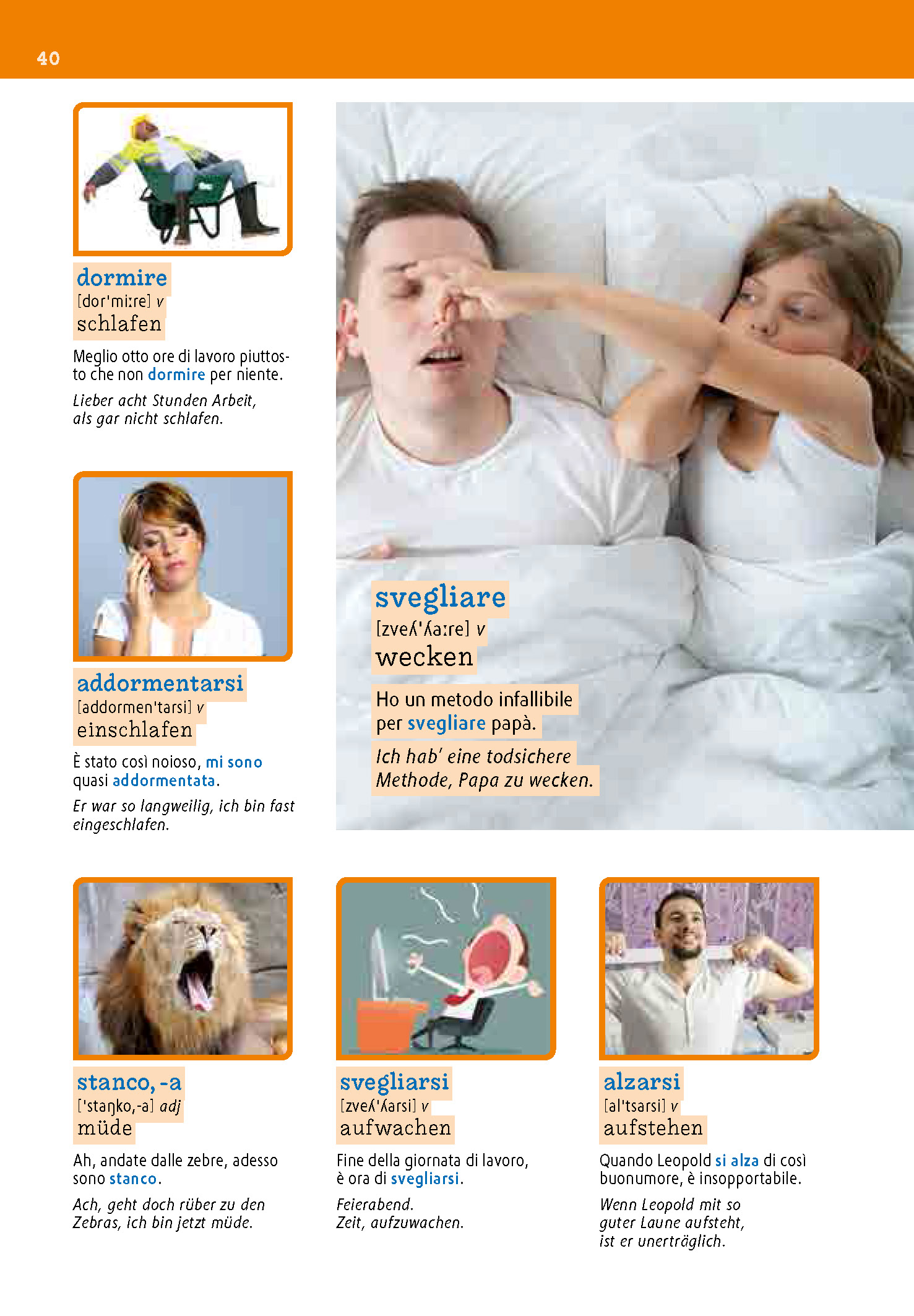 PONS Wortschatz in Bildern Italienisch