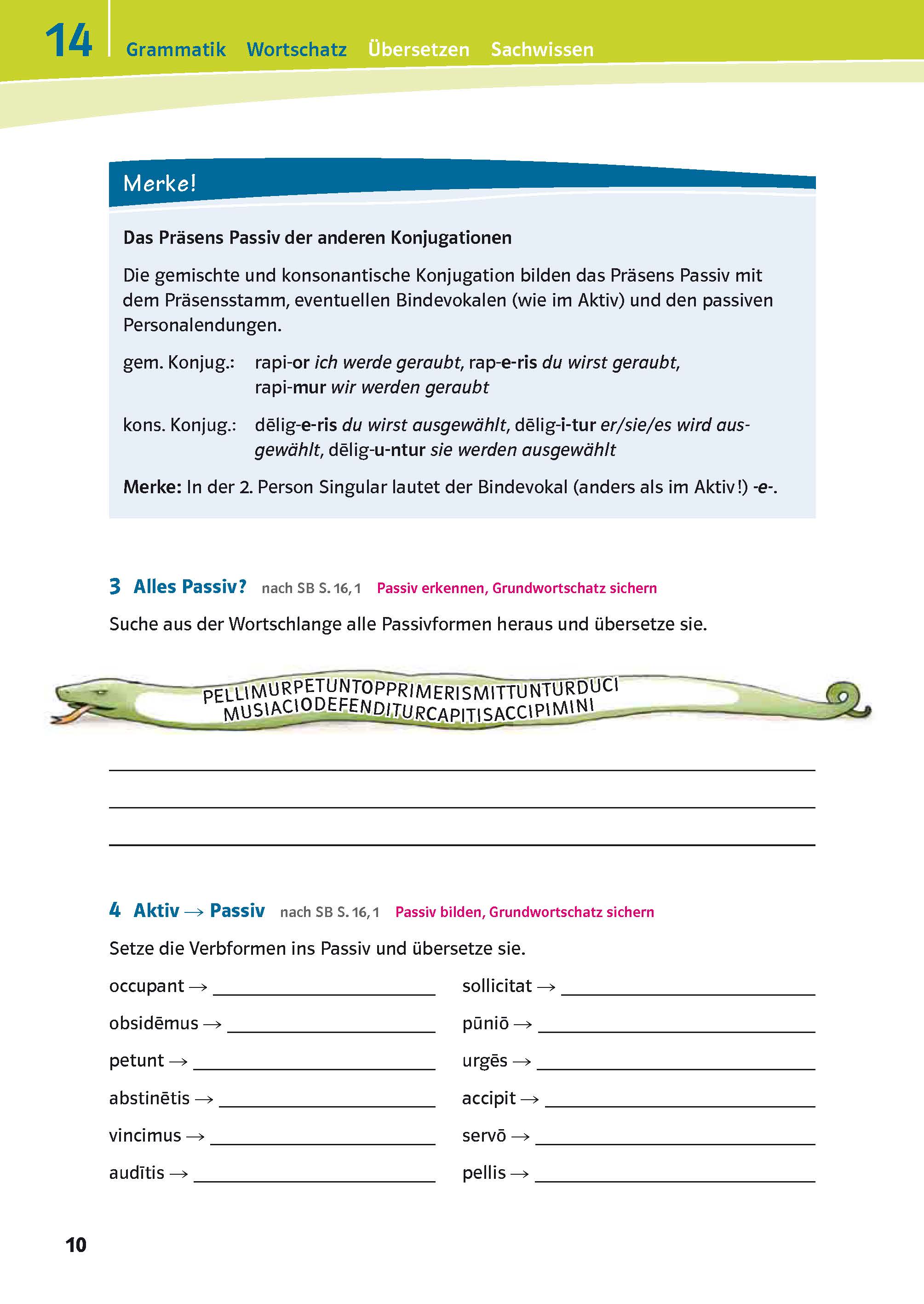 Eine Seite aus dem Deutschlehrbuch erklärt das Passiv mit Grammatikregeln, bunten Textkästen und einem Beispielsatz über ein gestohlenes Musikobjekt in der aktiven und passiven Form.