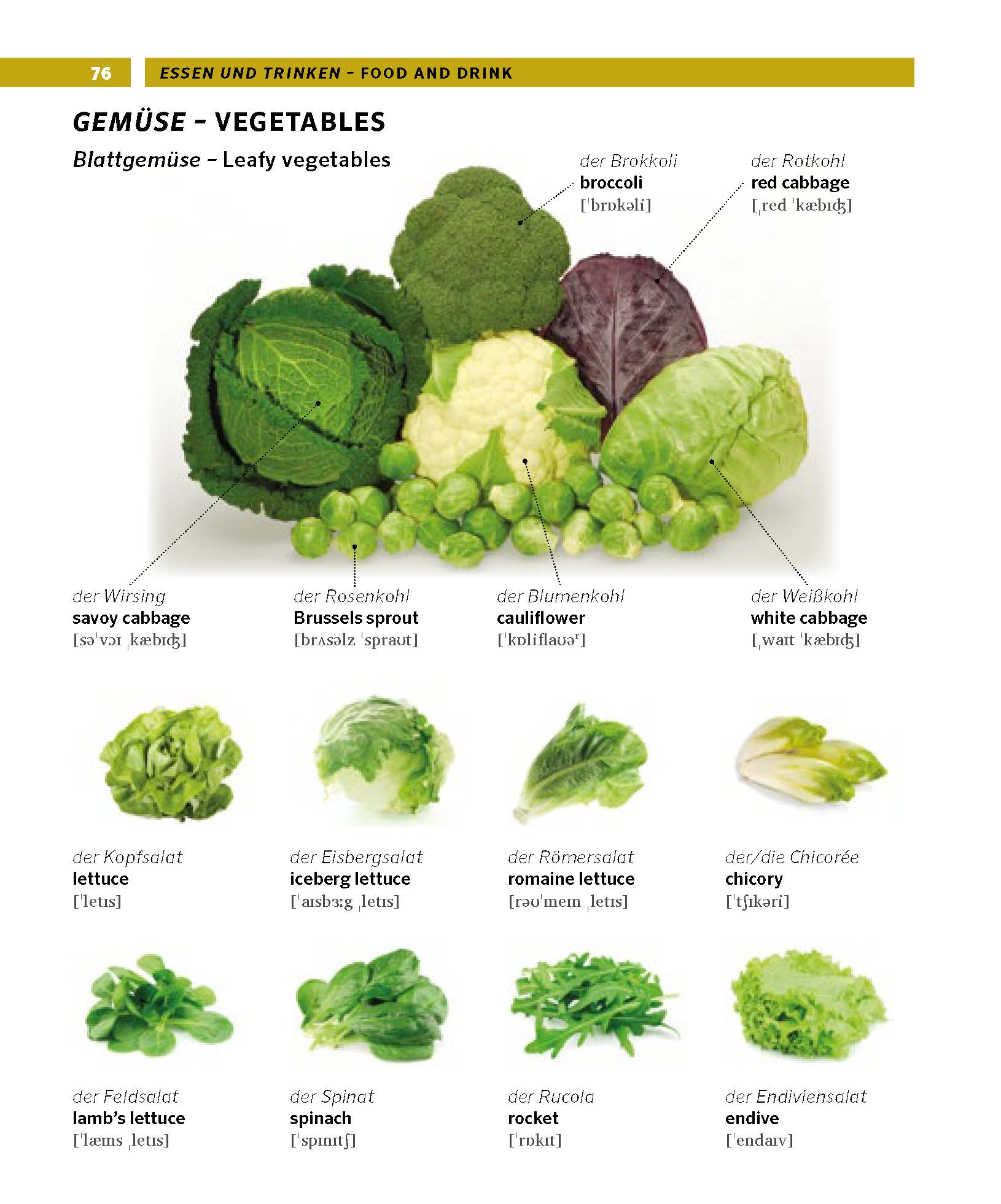 PONS Bildwörterbuch Englisch