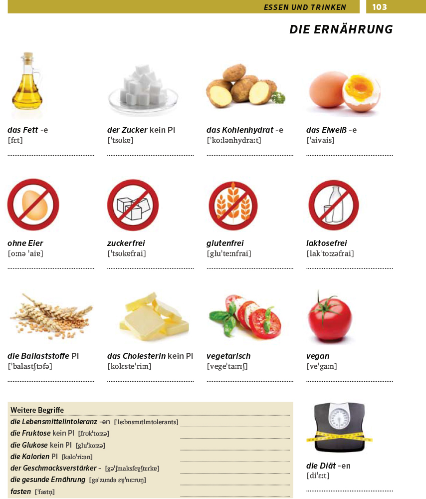 PONS Bildwörterbuch Deutsch als Fremdsprache