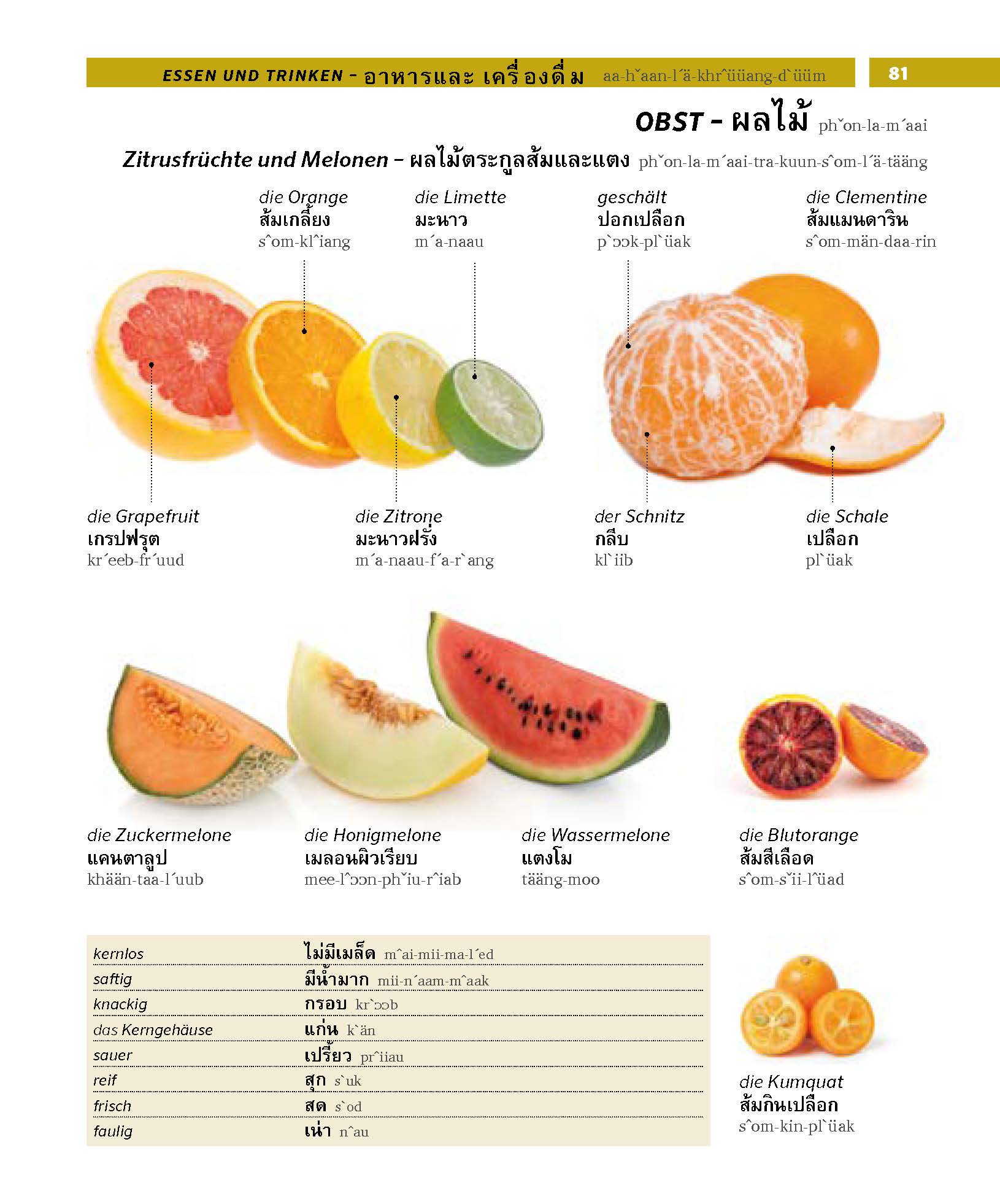 PONS Bildwörterbuch Thai