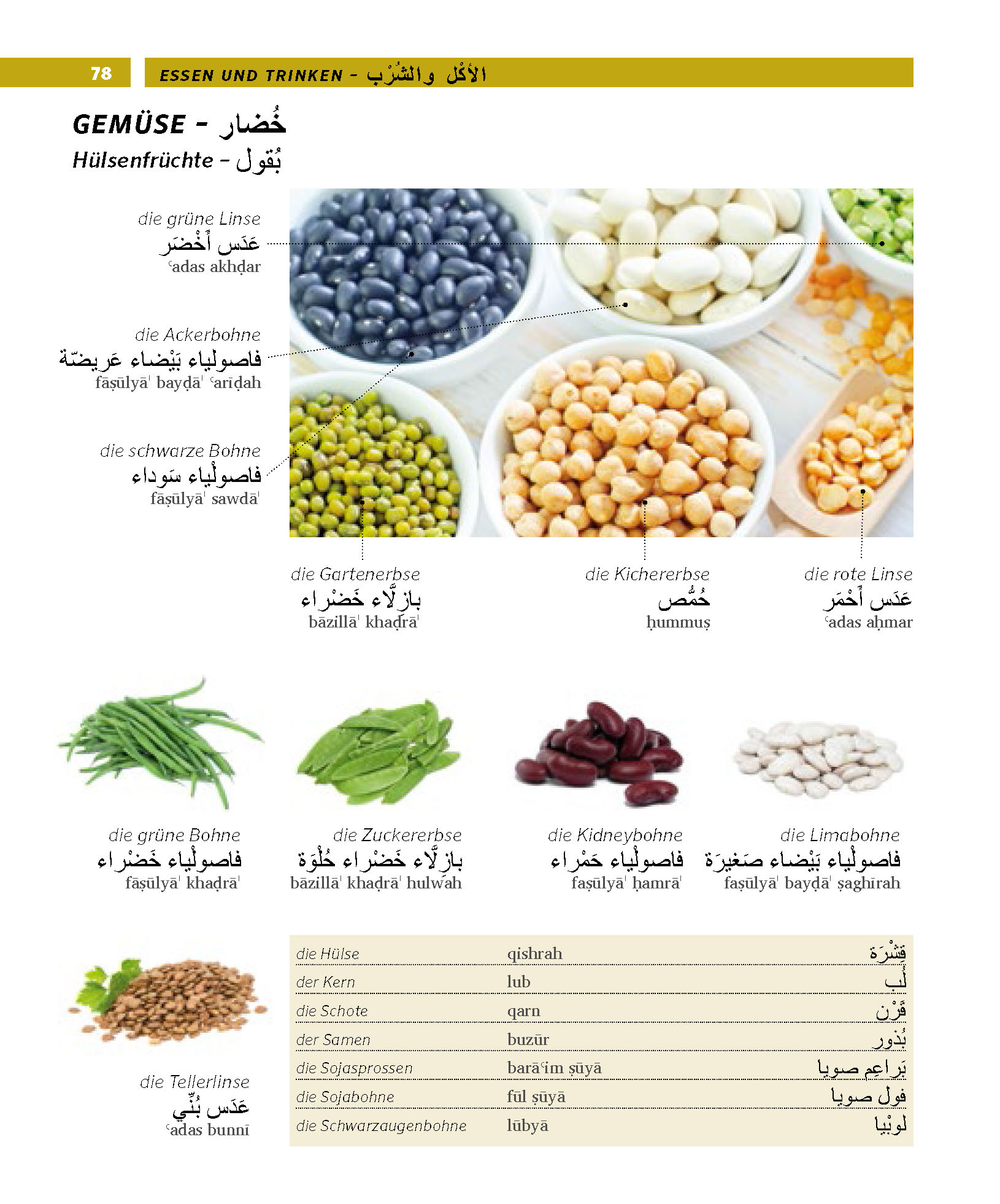 PONS Bildwörterbuch Arabisch
