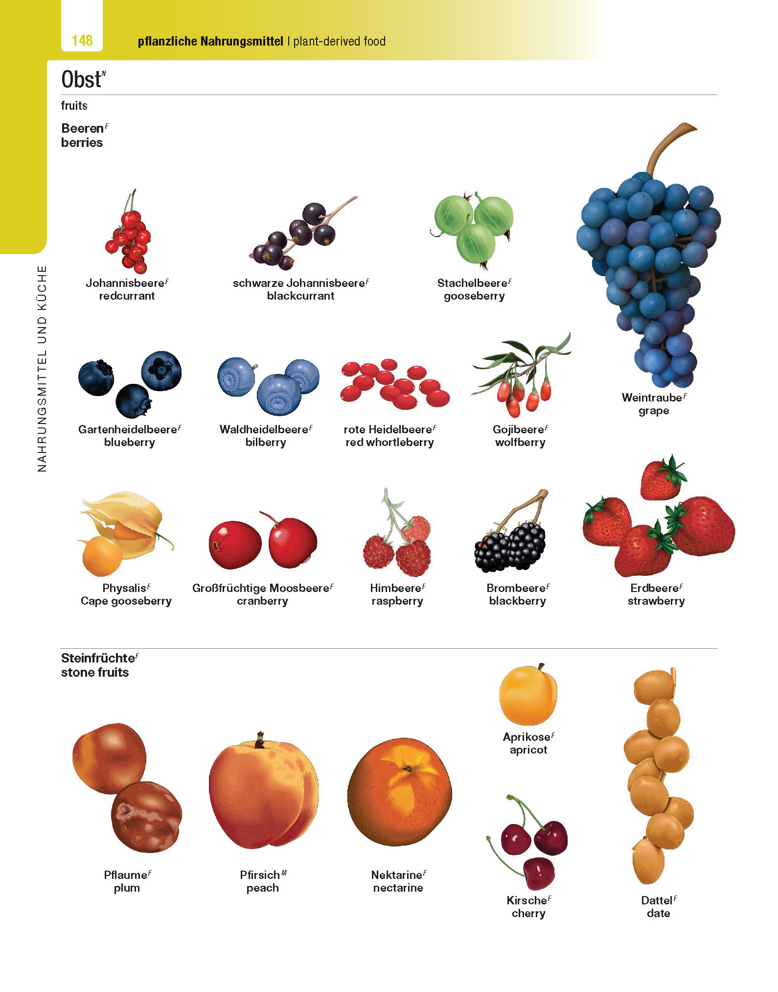 Langenscheidt Illustriertes Wörterbuch Englisch