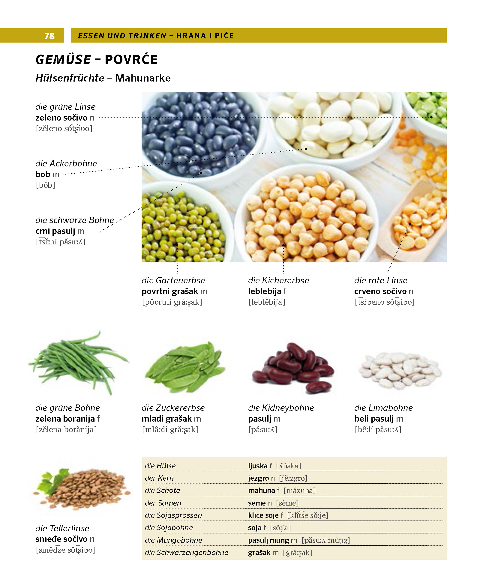 PONS Bildwörterbuch Serbisch