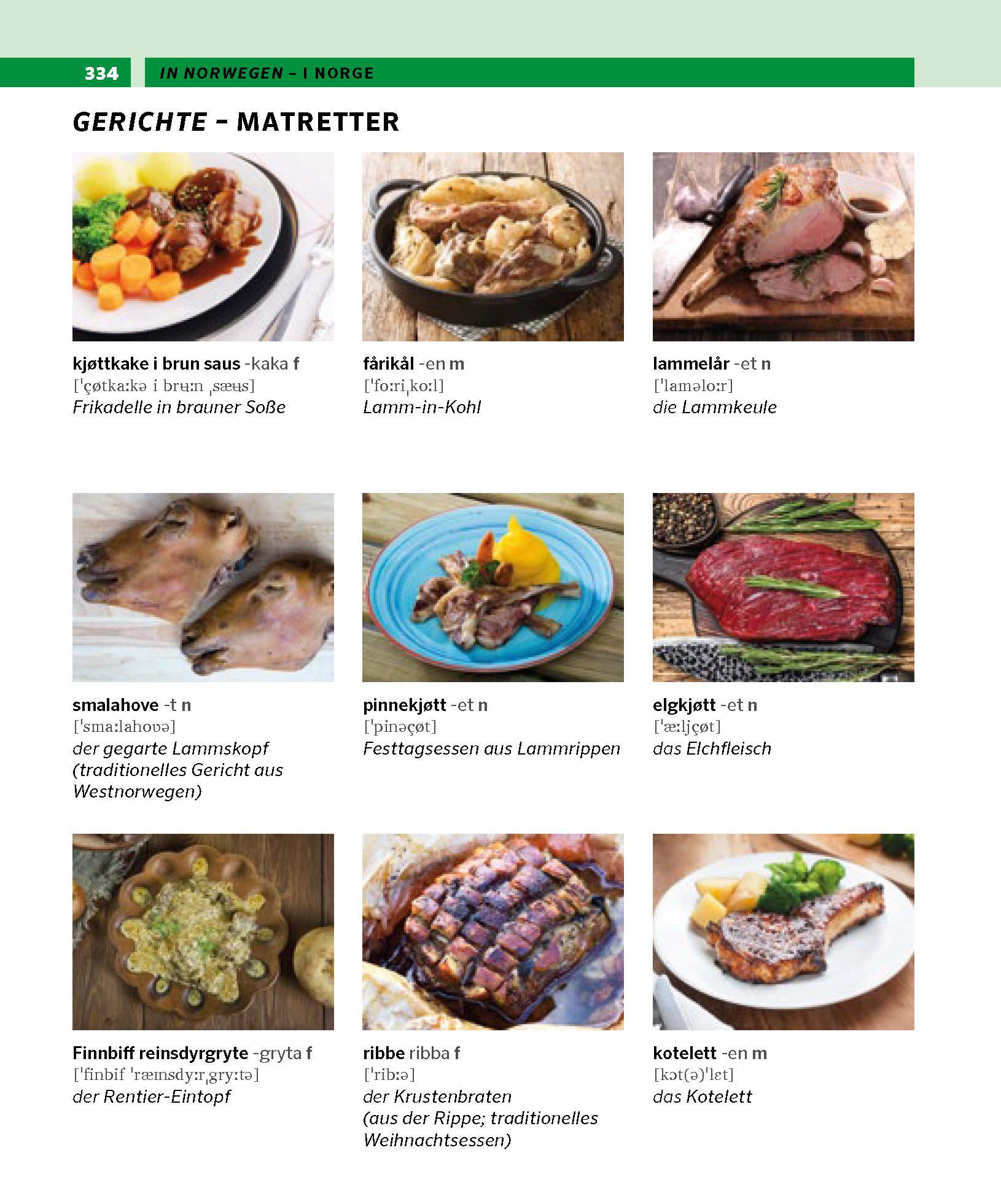 PONS Bildwörterbuch Norwegisch