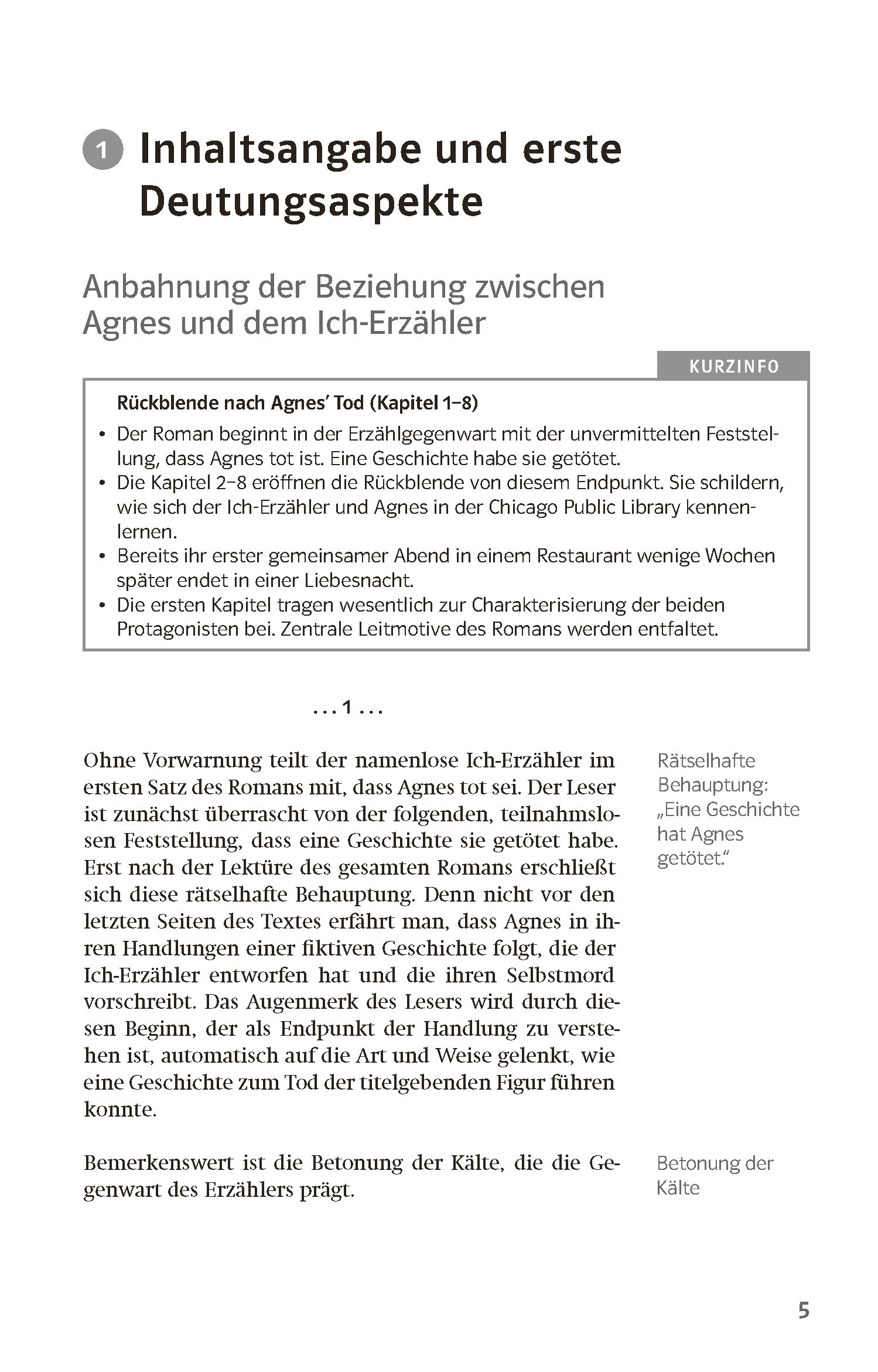 Klett Lektürehilfen Peter Stamm, Agnes