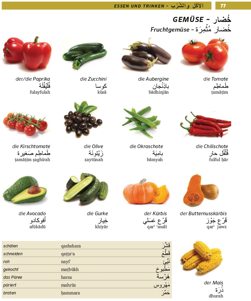 PONS Bildwörterbuch Arabisch