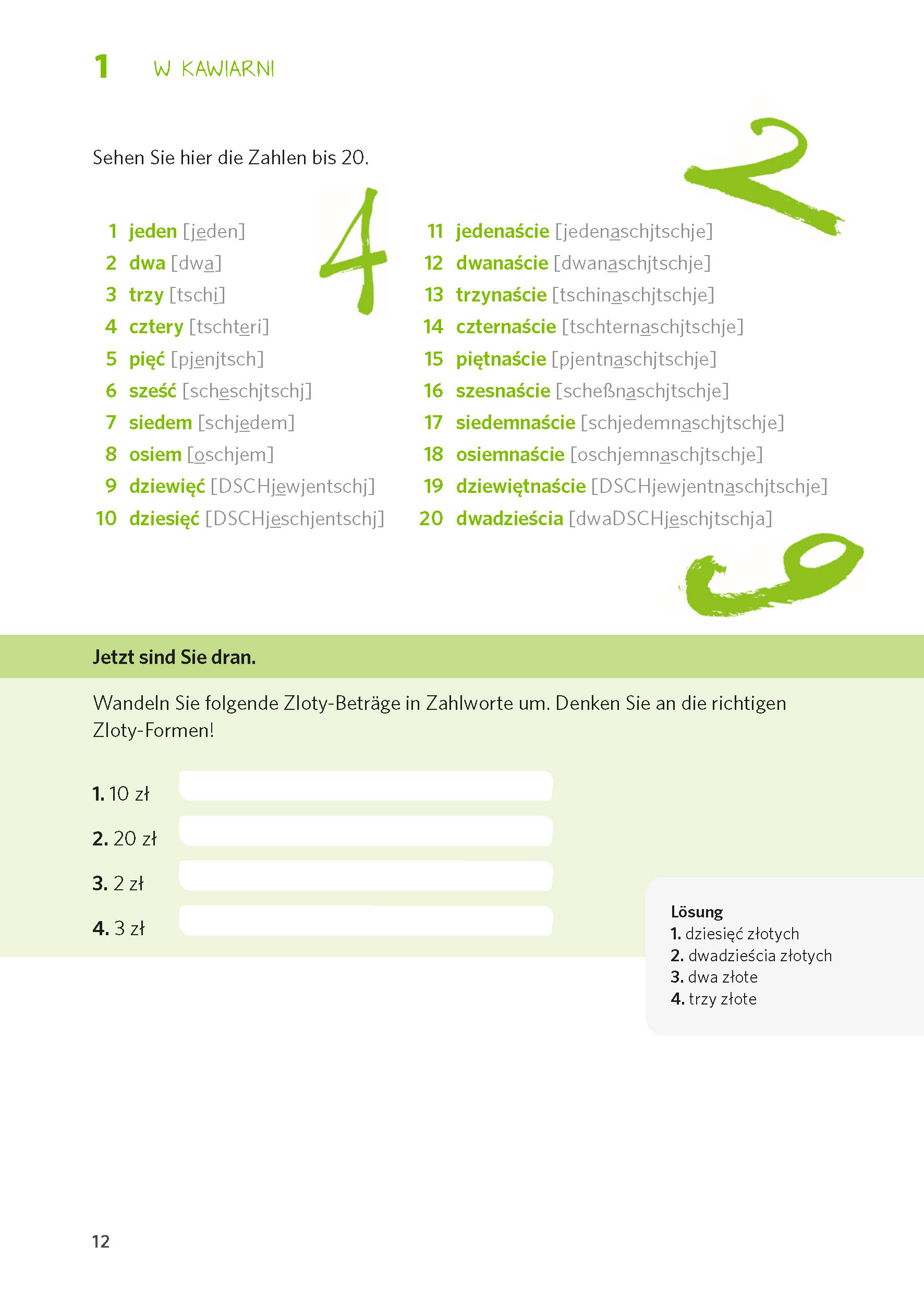 PONS Polnisch entschlüsselt