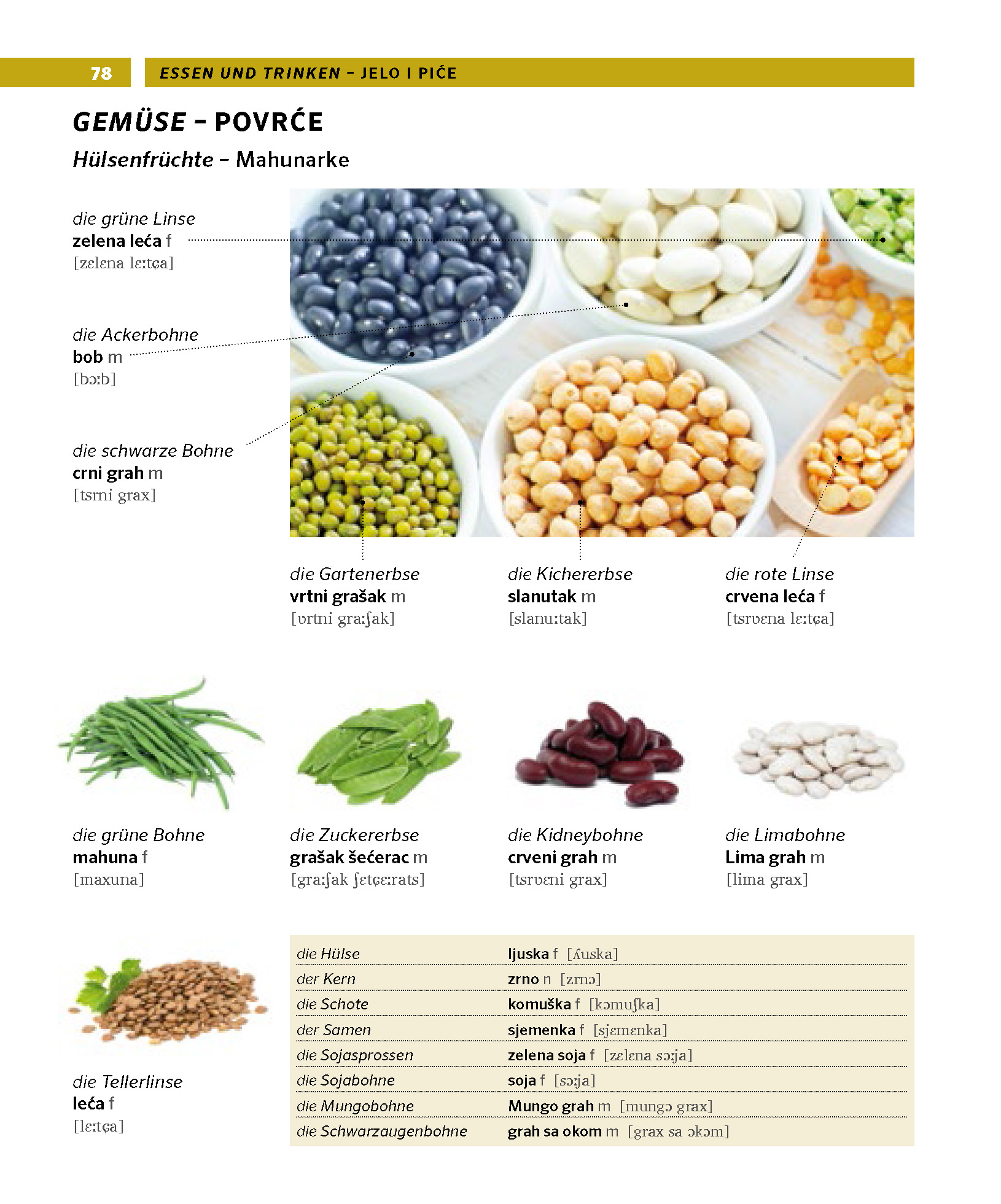 PONS Bildwörterbuch Kroatisch