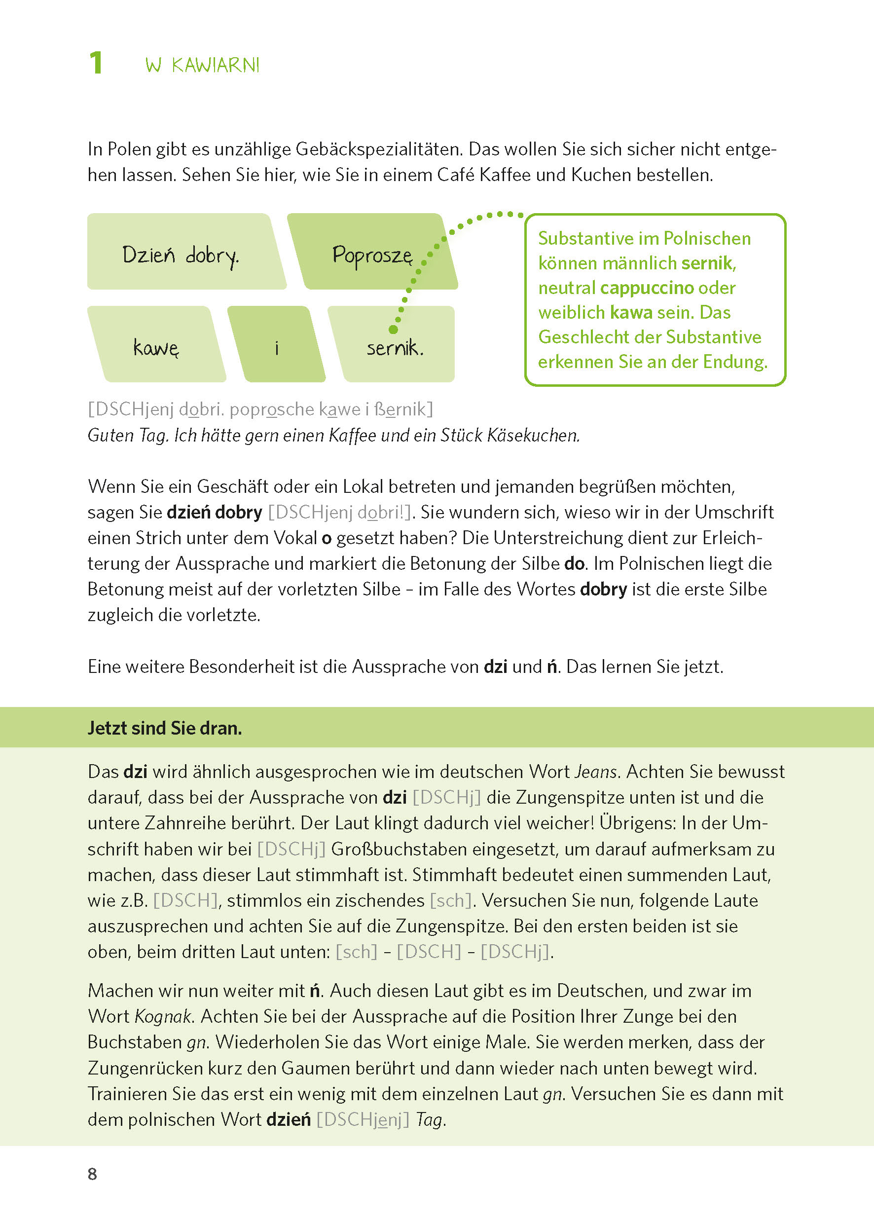 PONS Polnisch entschlüsselt