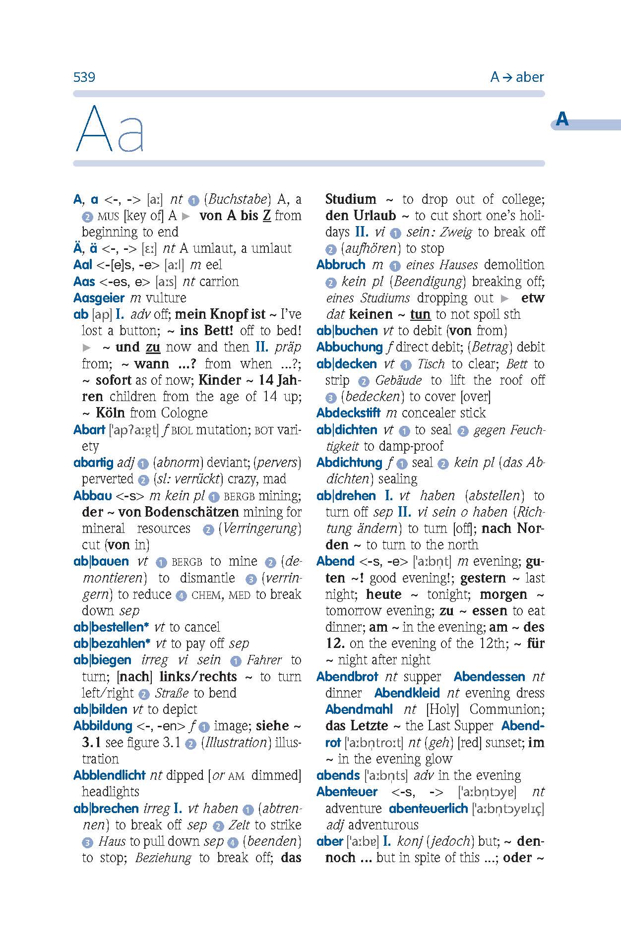 PONS Basiswörterbuch Plus Englisch