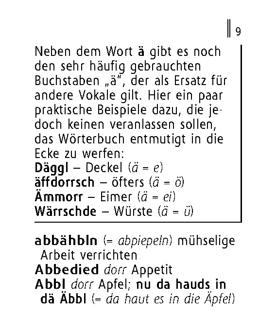 Langenscheidt Lilliput Sächsisch