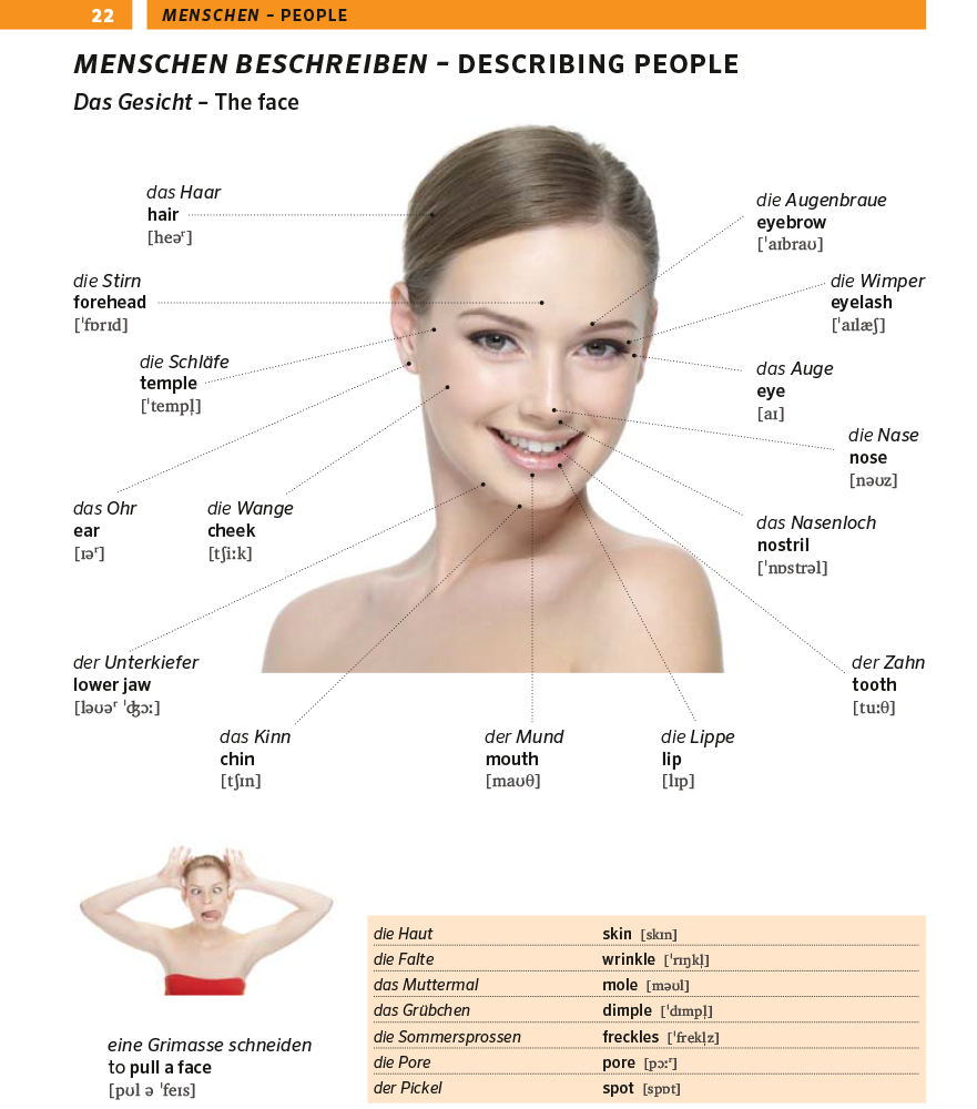 PONS Bildwörterbuch Englisch