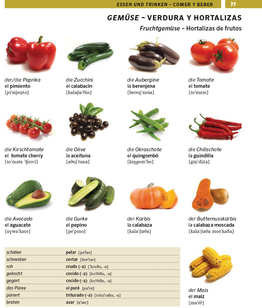 PONS Bildwörterbuch Spanisch