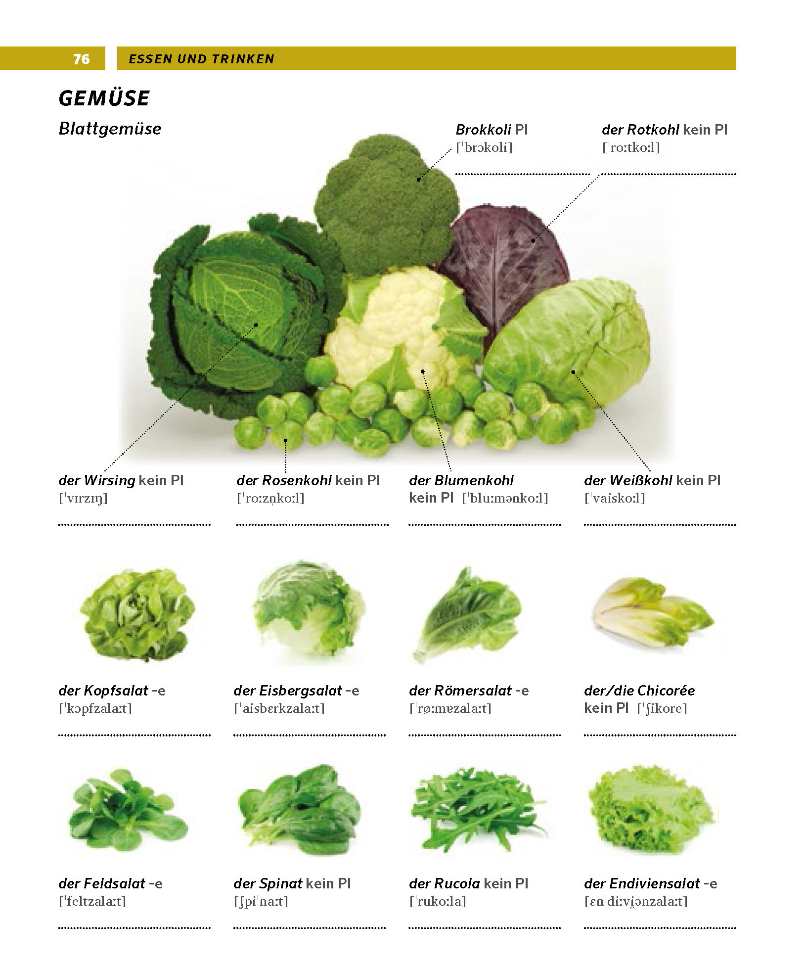 PONS Bildwörterbuch Deutsch als Fremdsprache